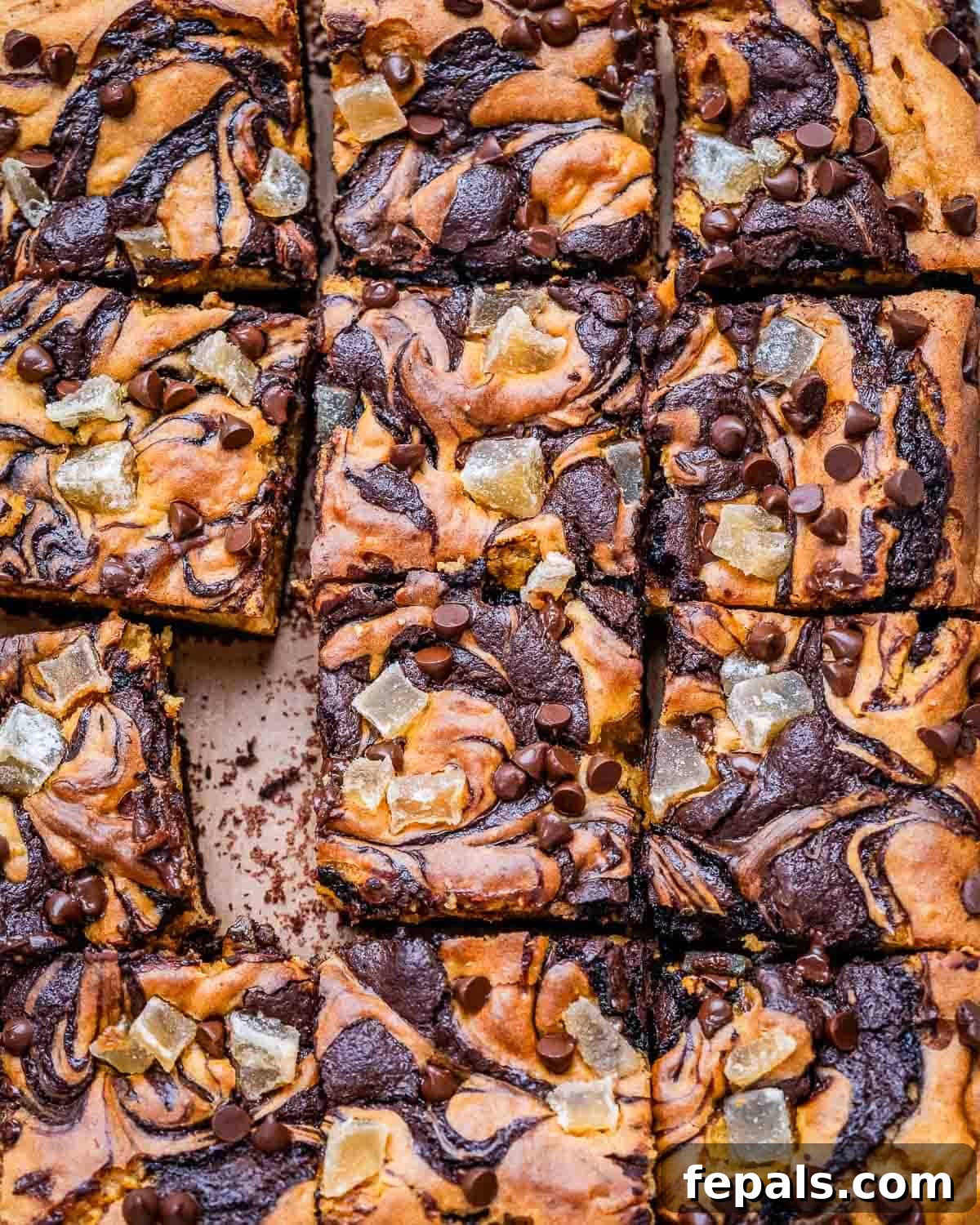 Fudgy pumpkin brownie squares on a flat surface, showcasing the chocolate and pumpkin swirl.