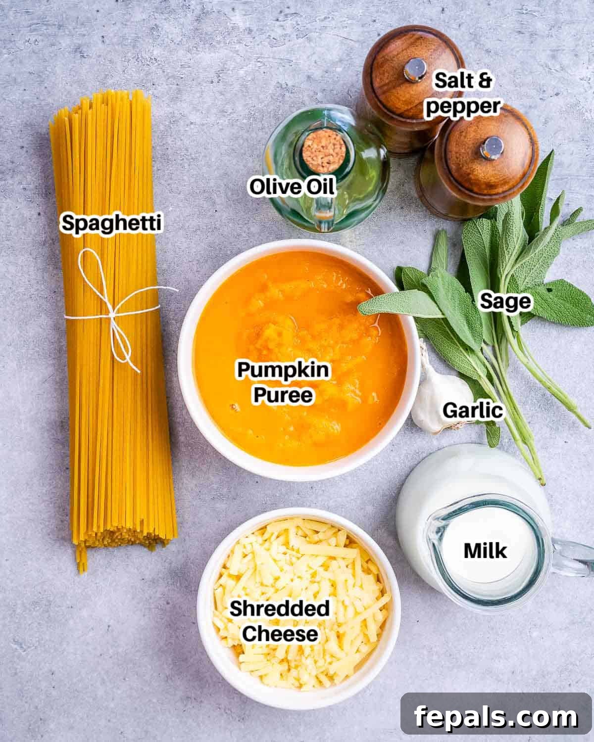 Simple Comfort Pumpkin Alfredo 3 A selection of fresh ingredients including pasta, a can of pumpkin puree, garlic, sage, and cheese, laid out on a kitchen counter.