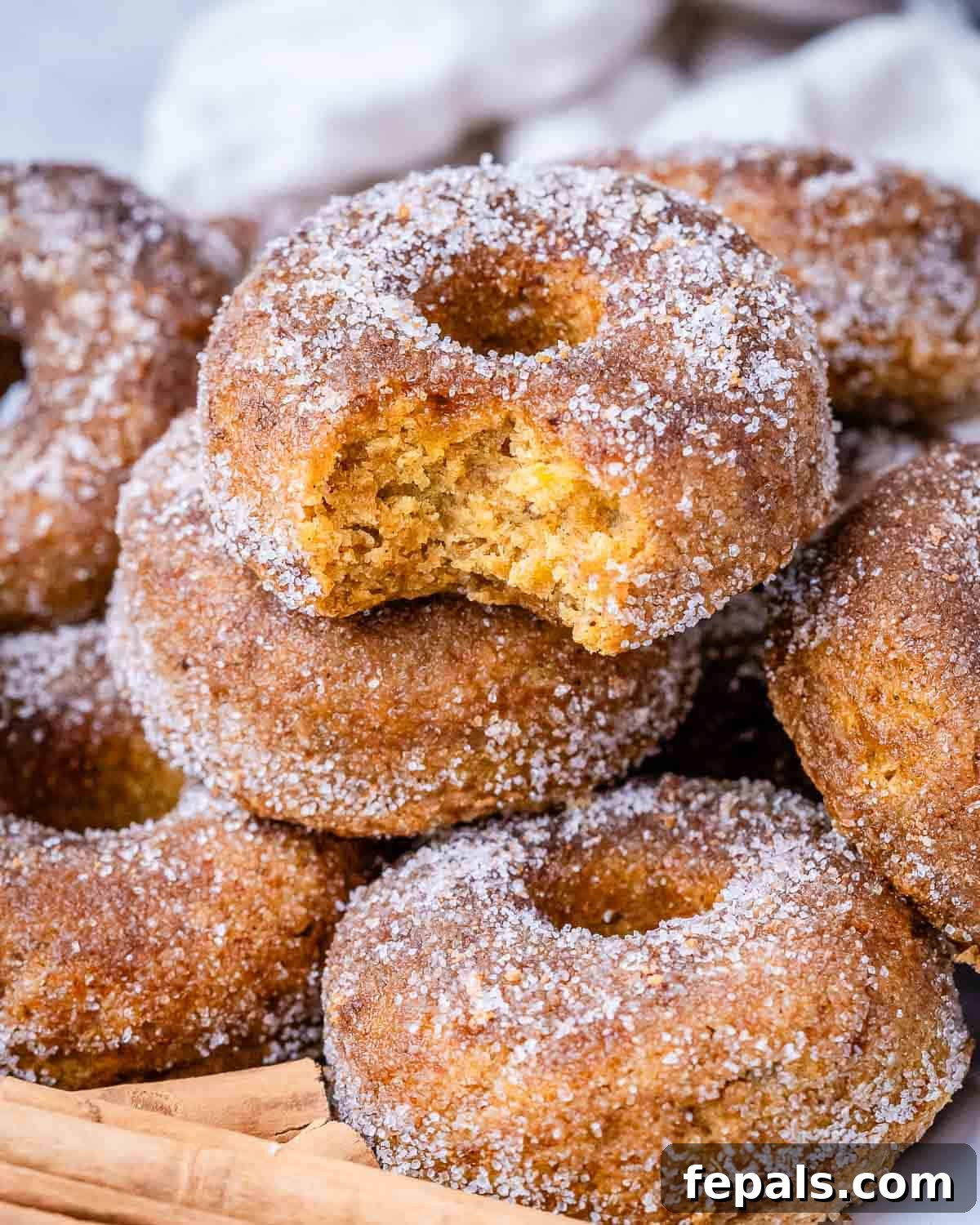 donuts stacked over each other on a plate, garnished with a light dusting of cinnamon sugar.