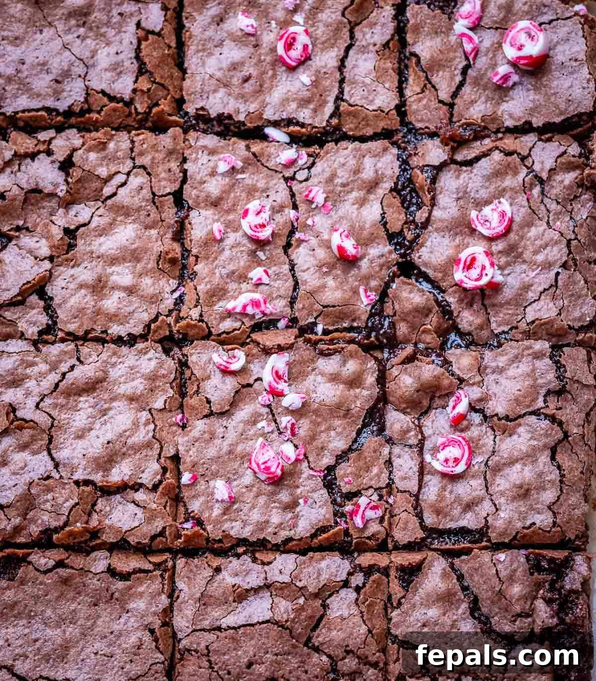 Cool Mint Fudge Brownies 8 A beautifully composed shot of perfectly cut brownie squares, each adorned with bright red and white crushed peppermint candy pieces, resting on a white surface.
