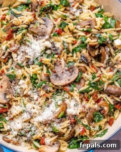 Close-up of the finished dish showing mushrooms, spinach, and parmesan blended through the orzo.