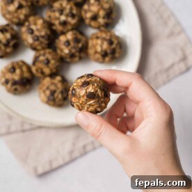 A hand gently holding a perfectly round energy bite, crafted with wholesome oats, rich chocolate chips, and smooth pumpkin puree, showcasing a healthy and delicious snack.