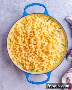 Vibrant Veggie Mac 13 Adding pasta to the mac and cheese sauce