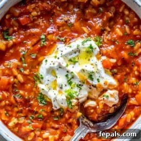 A close-up view of a bowl of inviting tomato rice soup, garnished with creamy yogurt and featuring a spoon ready for a taste.