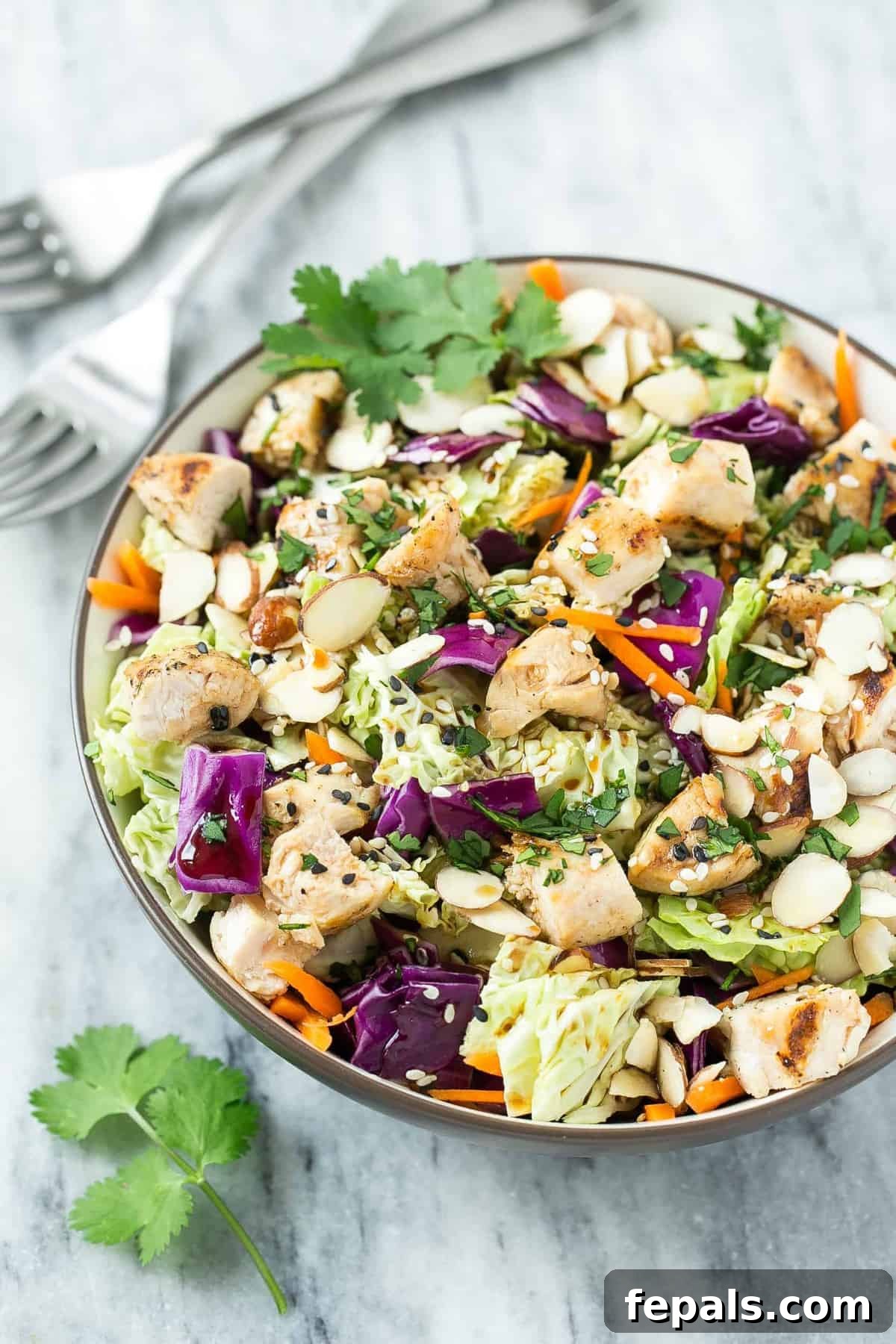 Healthy Asian Chicken Chopped Salad Recipe chicken salad in a bowl on flat white surface