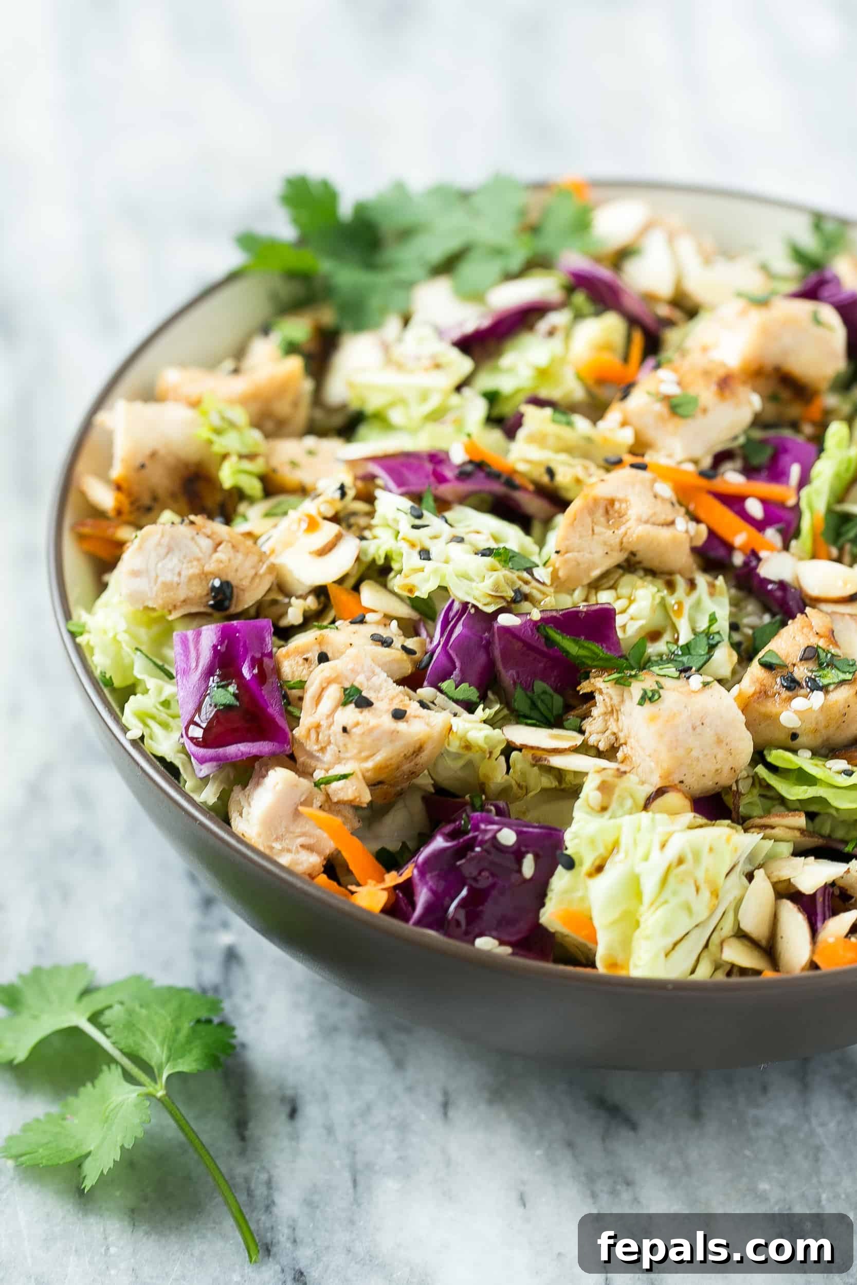 Crunchy Asian Chicken Chopped Salad Recipe side view chicken salad in bowl.