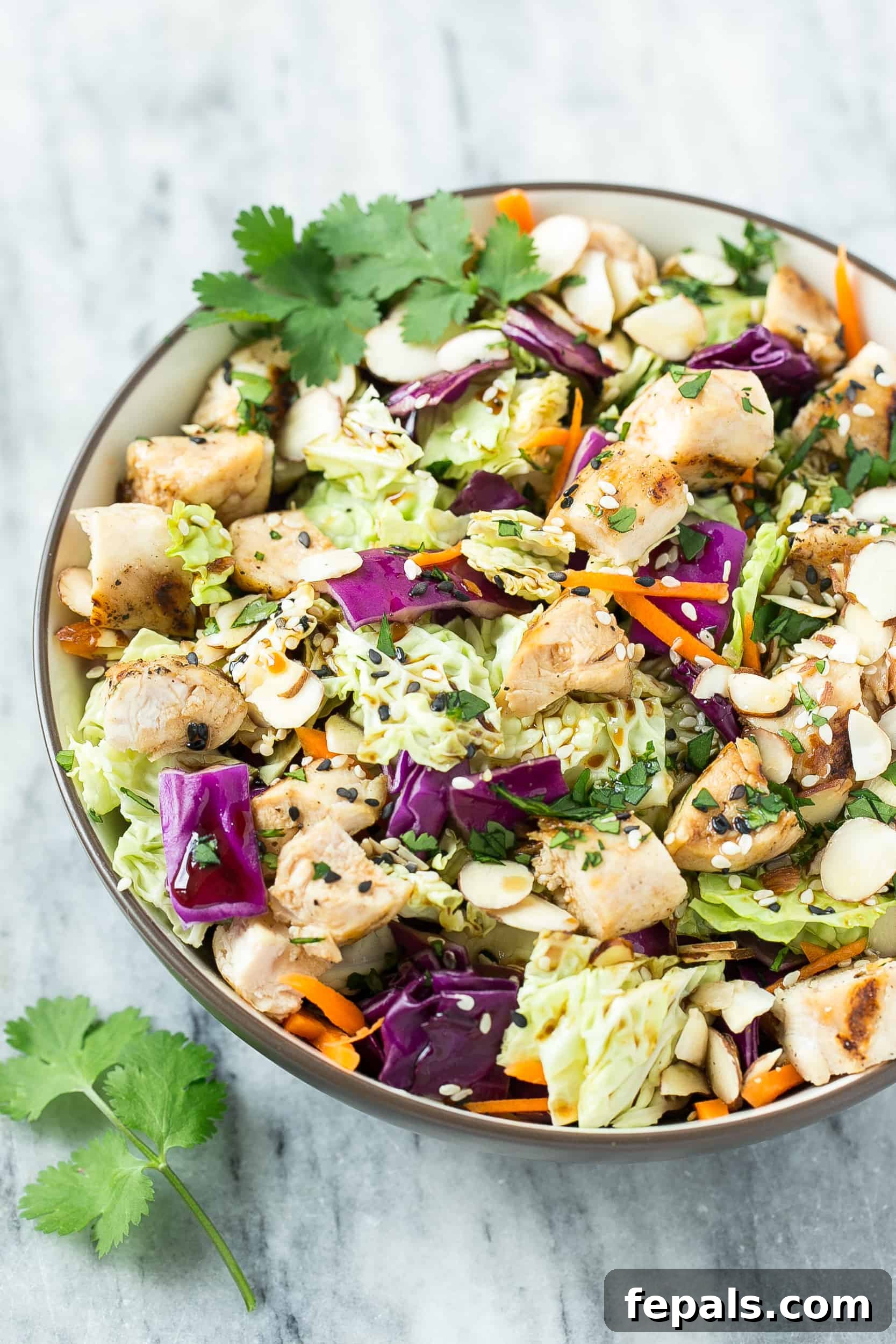 Healthy Asian Chopped Chicken Salad Recipe (Crunchy) top view of salad bowl with chopped chicken