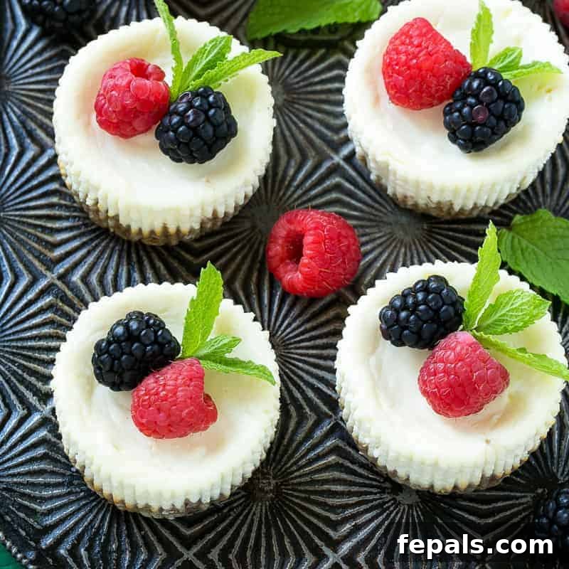 top view of 4 cheesecake bites on a platter topped with one raspberry and one blackberry