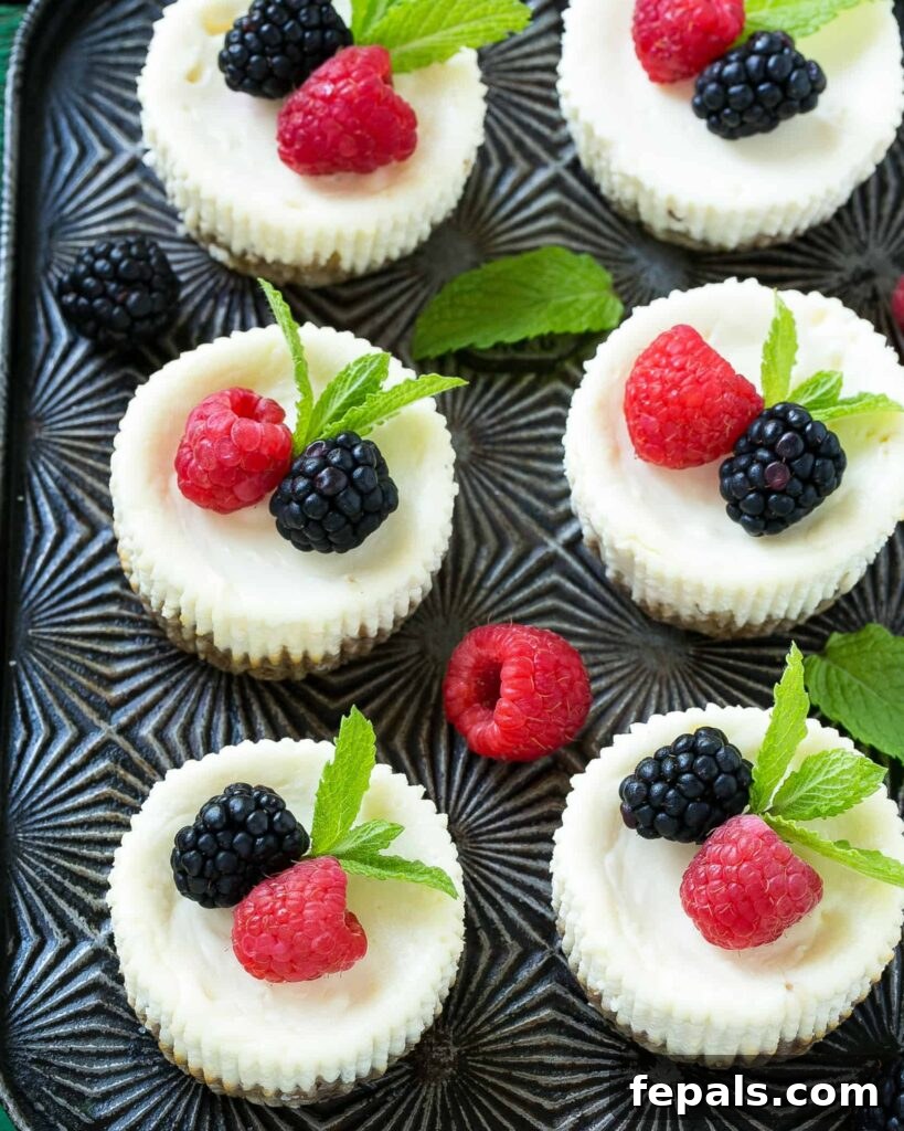 top view of 6 healthy cheesecake bites  lined up on a sheet pan topped with berries 