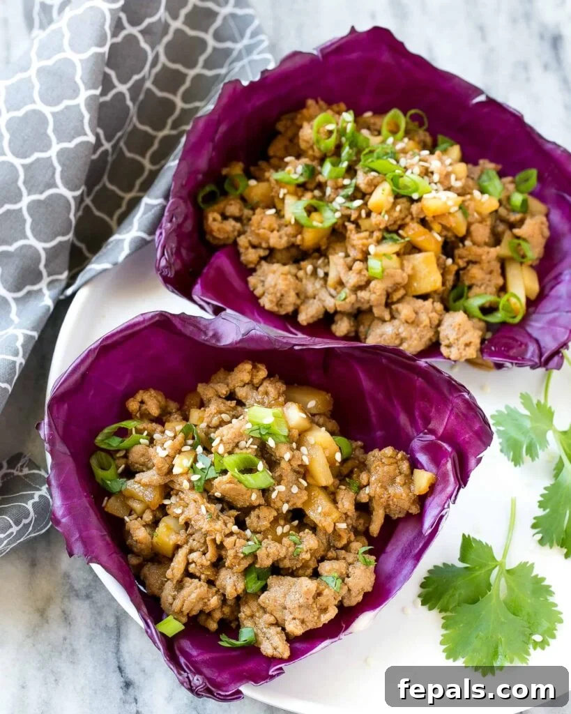 Top-down view of two beautifully arranged purple cabbage cups, each generously filled with savory ground chicken, garnished with fresh green onions and sesame seeds.