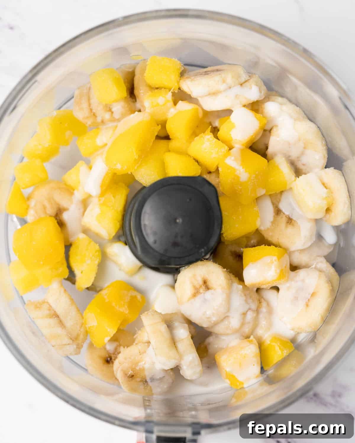 frozen fruits and coconut milk are added to a food processor.