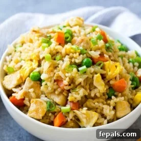 A round white bowl with chicken fried rice, ready to be served.