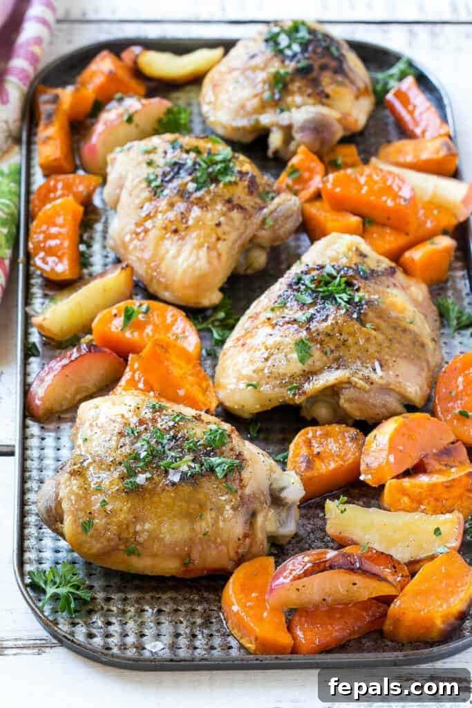 Top-down view of roasted chicken thighs, sweet potatoes, and apples on a sheet pan, freshly baked