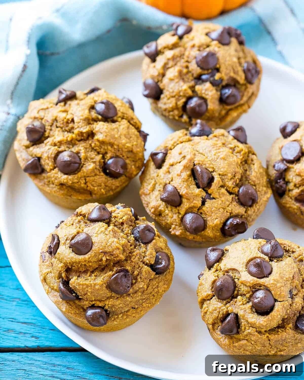 pumpkin Muffins with chocolate chips on a white plate, ready to be enjoyed.