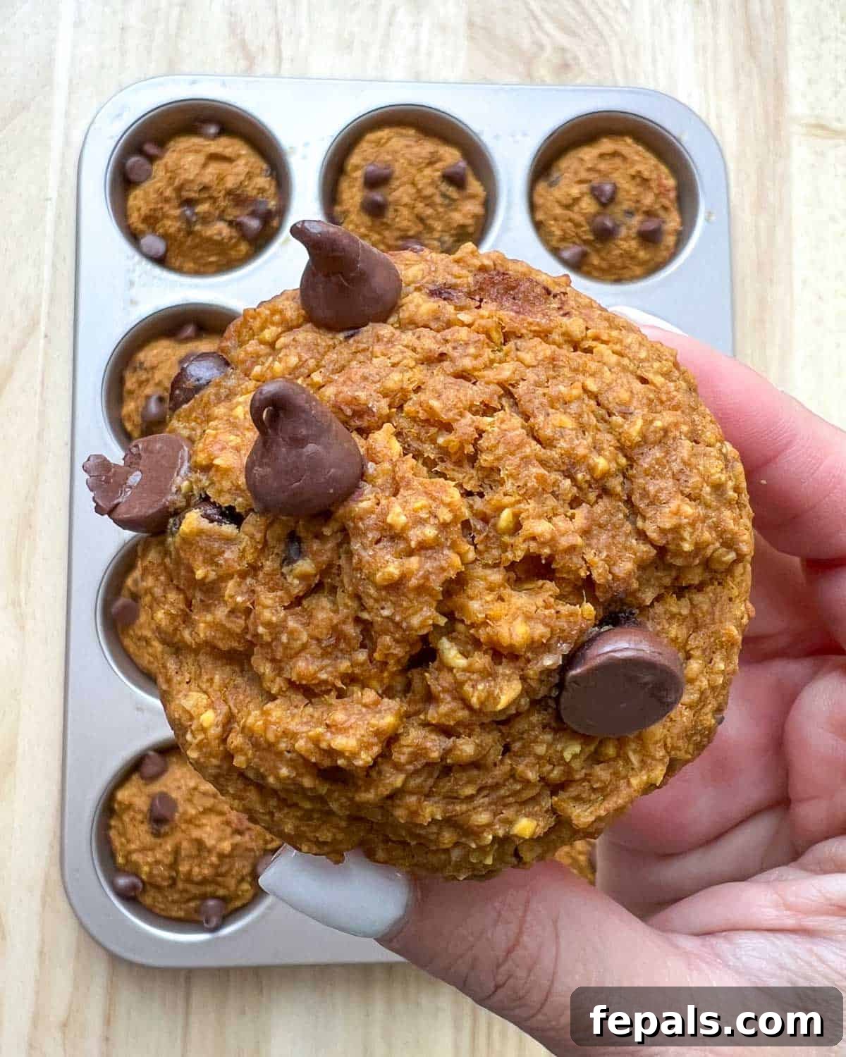 A hand holding one perfectly baked chocolate chip pumpkin muffin, showcasing its golden-brown top and generous chocolate chips.