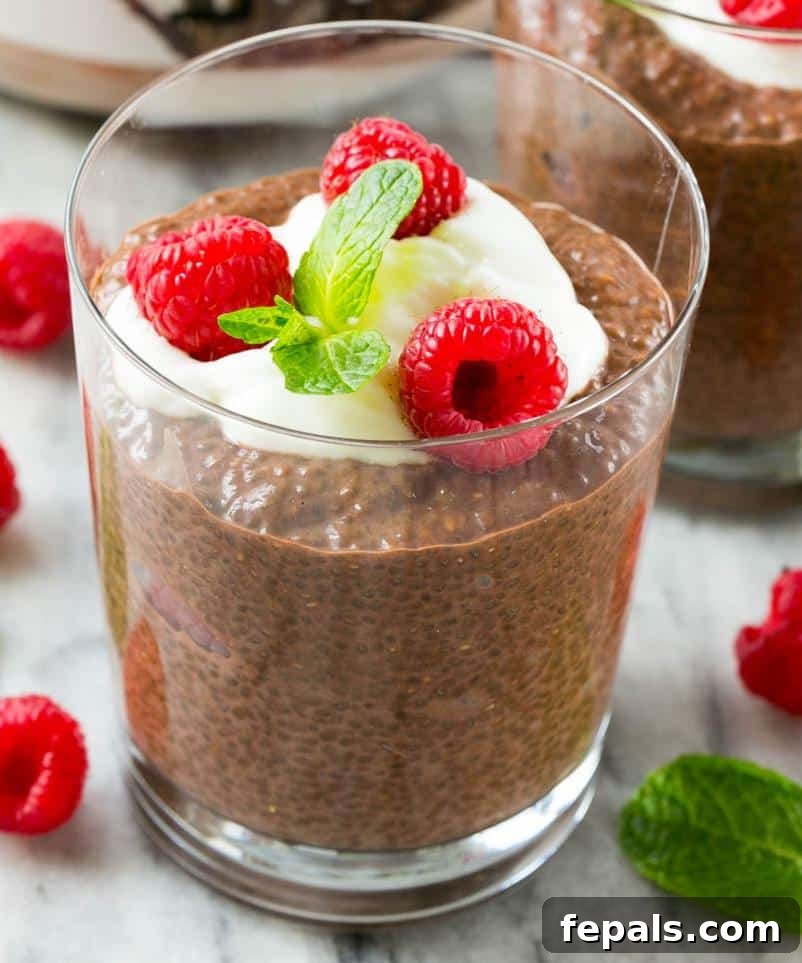 Decadent Chocolate Protein Chia Bliss 2 Chocolate Chia Protein Pudding in a glass cup topped with a small portion of yogurt, 3 fresh raspberries, and a small mint leaf.
