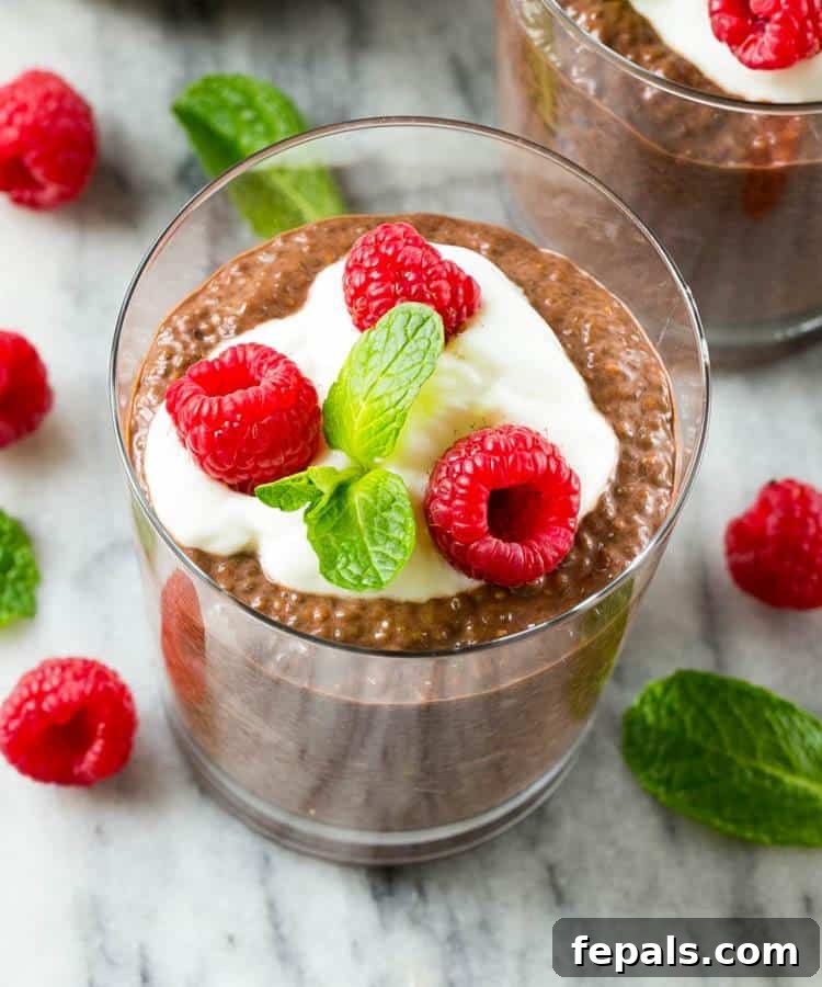 Decadent Chocolate Protein Chia Bliss 3 Chocolate Chia Protein Pudding in a glass cup topped with a small portion of yogurt, 3 fresh raspberries, and a small mint leaf.