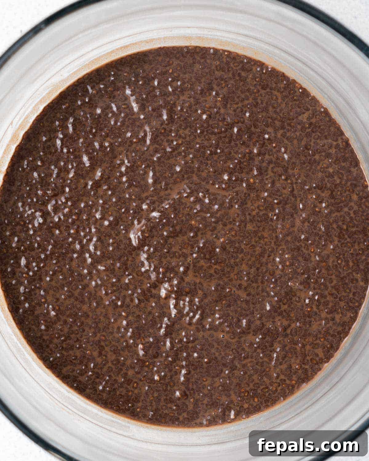 Decadent Chocolate Protein Chia Bliss 7 thick chocolate chia pudding a clear bowl.