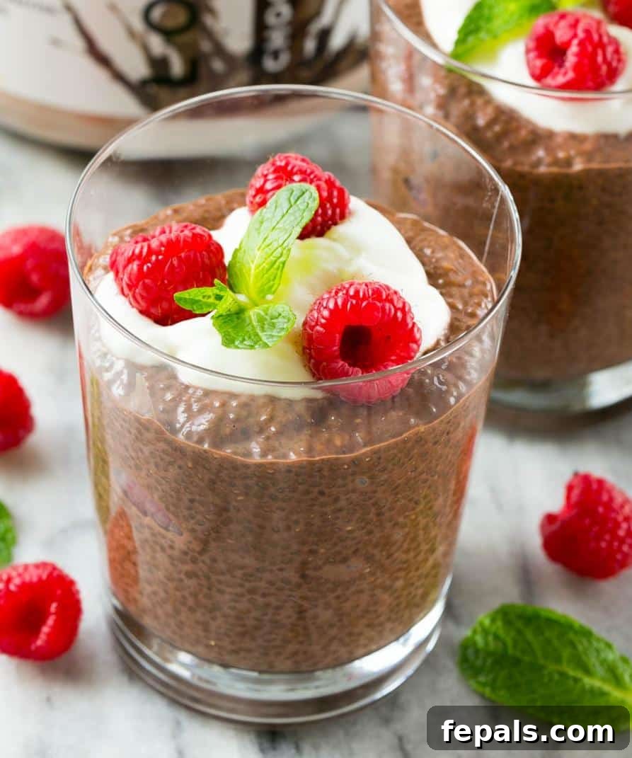 Decadent Chocolate Protein Chia Bliss 9 Chocolate Chia Protein Pudding in a glass cup topped with a small portion of yogurt, 3 fresh raspberries, and a small mint leaf.