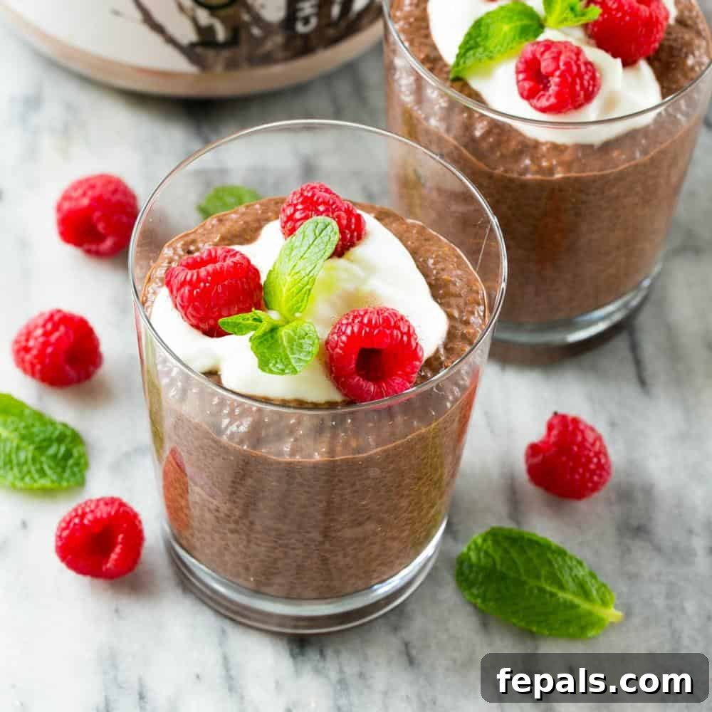 Decadent Chocolate Protein Chia Bliss 10 Chocolate Chia Protein Pudding in a glass cup topped with a small portion of yogurt, 3 fresh raspberries, and a small mint leaf.
