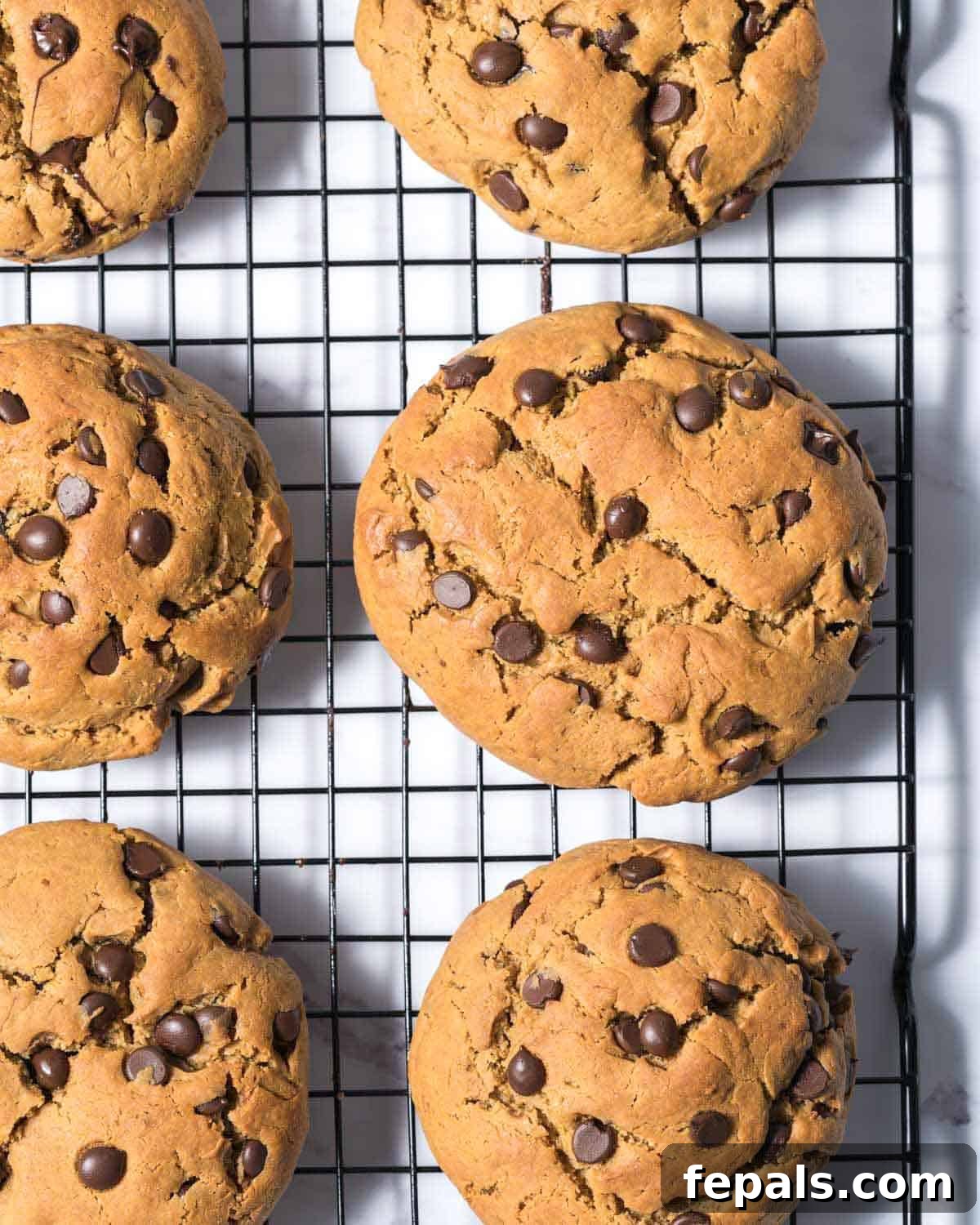 Power-Packed Protein Chocolate Cookies 2 Freshly baked protein chocolate chip cookies cooling on a wire rack.