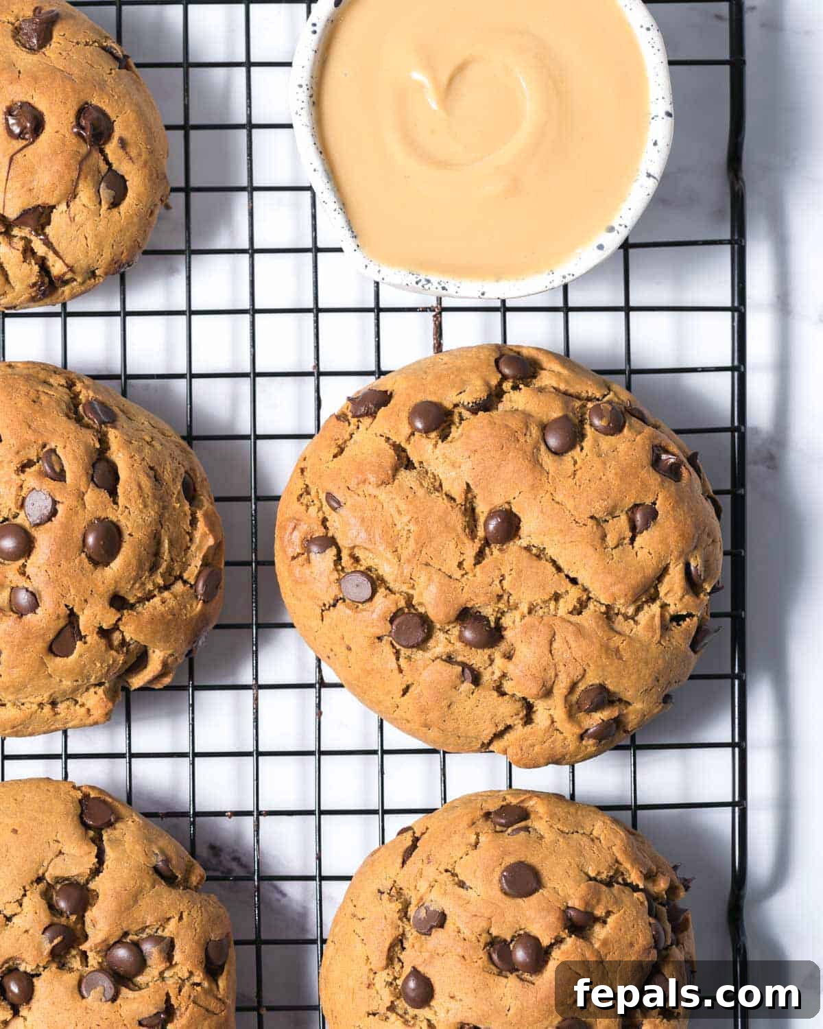 Power-Packed Protein Chocolate Cookies 14 A wire rack filled with baked chocolate chip cookies, alongside a small bowl of melted peanut butter.