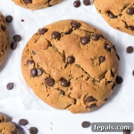 Power-Packed Protein Chocolate Cookies 16 A single perfectly baked protein chocolate chip cookie.