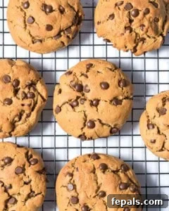 Power-Packed Protein Chocolate Cookies 21 Baked peanut butter with chocolate chip cookies on a wire rack cooling.