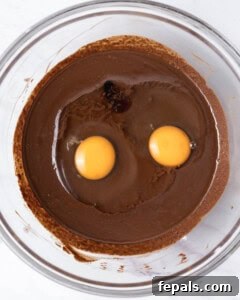 Eggs and vanilla extract added to the chocolate and sugar mixture.