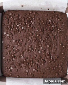 Baked brownies in a pan, still warm, before being cut into squares.