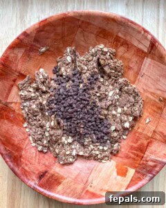 chocolate chips are added over the peanut butter oat dough.