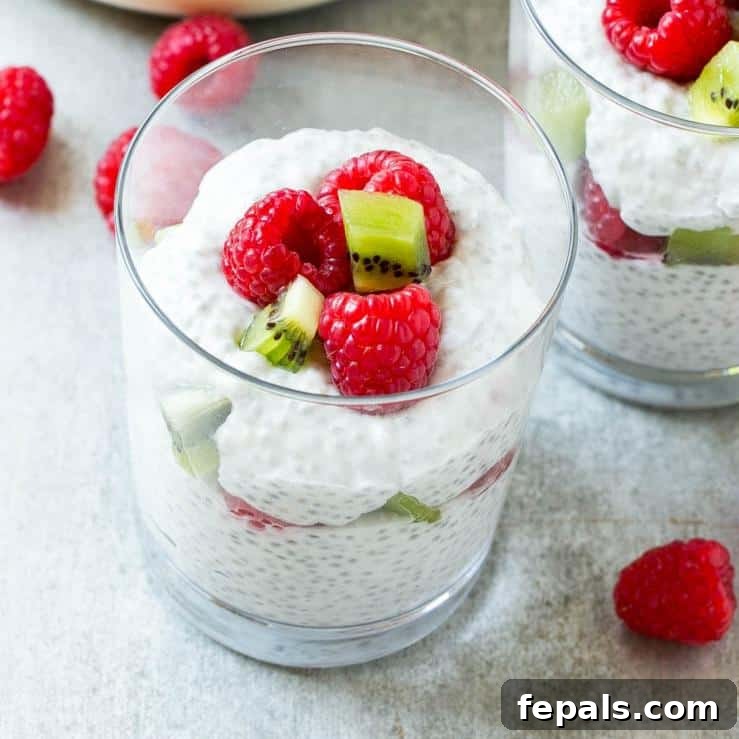 Simple Coconut Chia Pudding Serving Single serving of coconut chia pudding with raspberries and kiwi in a glass dish
