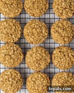 Baked muffins added to a pan and allowing it to cool.