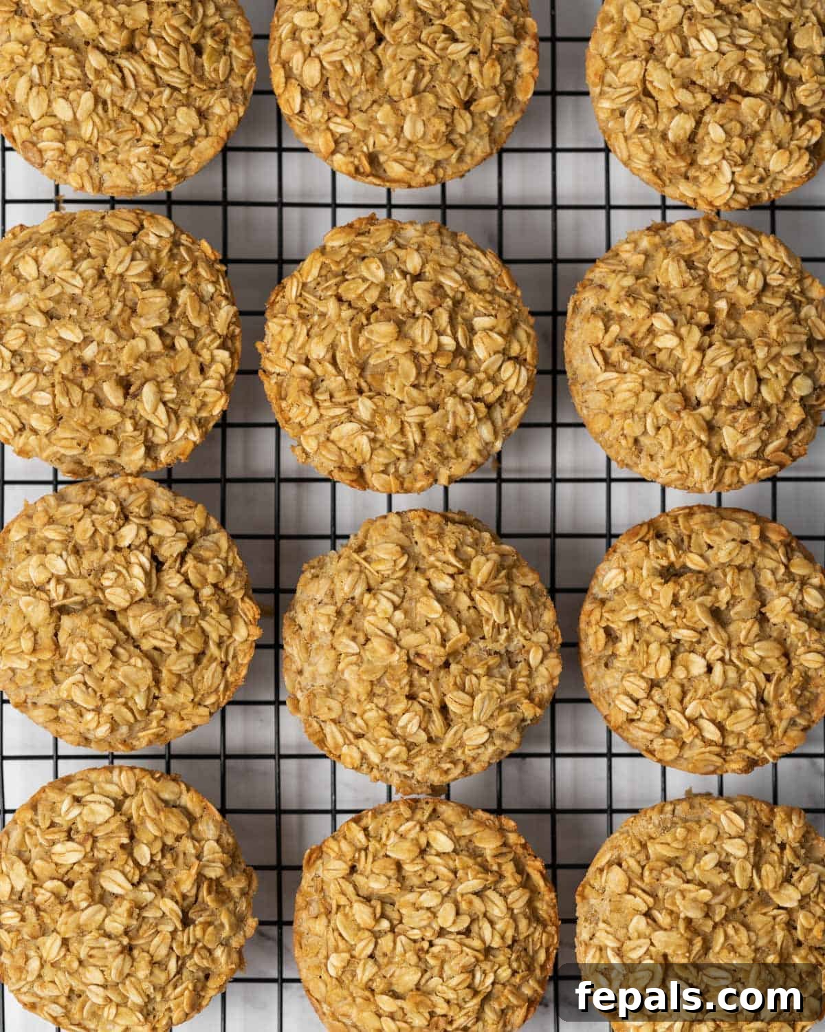 Freshly baked muffins are resting in the muffin pan, cooling slightly before removal.
