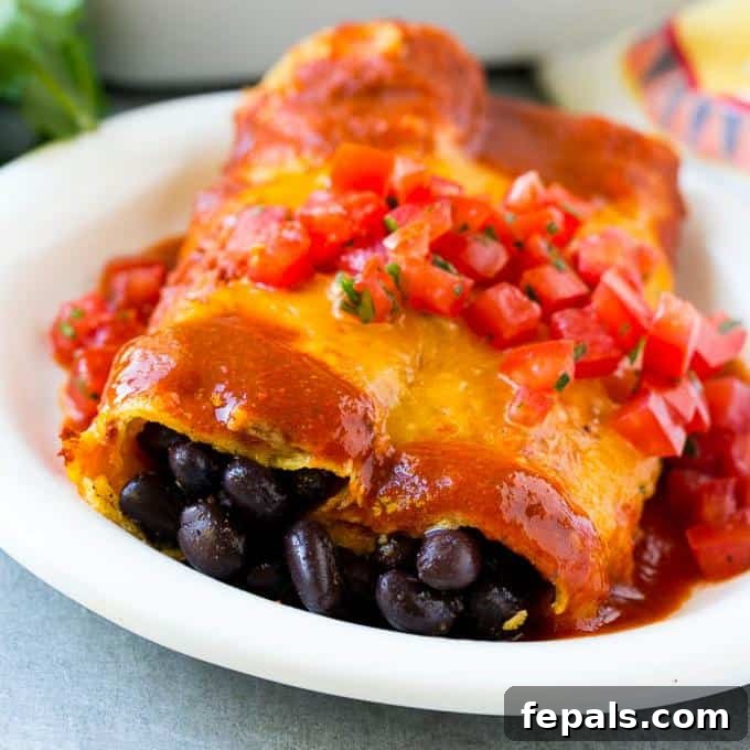Zesty Black Bean Enchiladas 3 Close up of a single Black Bean Enchilada on a plate, garnished with fresh cilantro and tomatoes