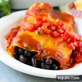 Zesty Black Bean Enchiladas 5 Black Bean Enchiladas