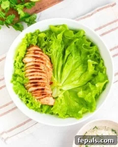 bowl with sliced chicken over lettuce.