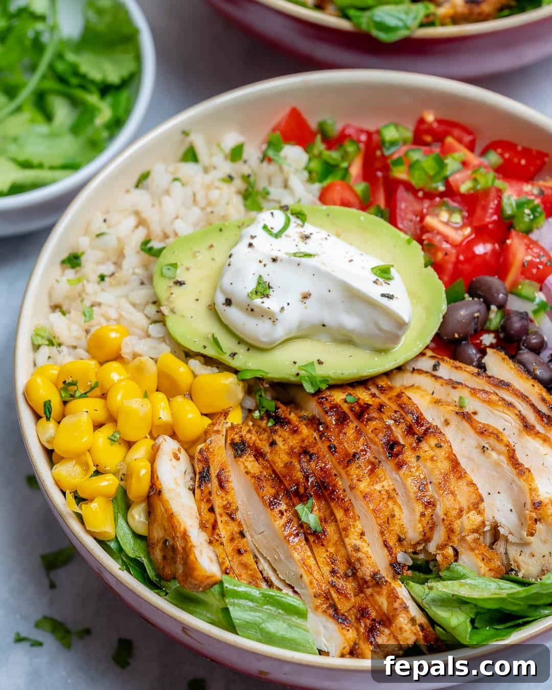 Fiesta Chicken Bowl 8 Side shot of a fully assembled chicken burrito bowl with all toppings.