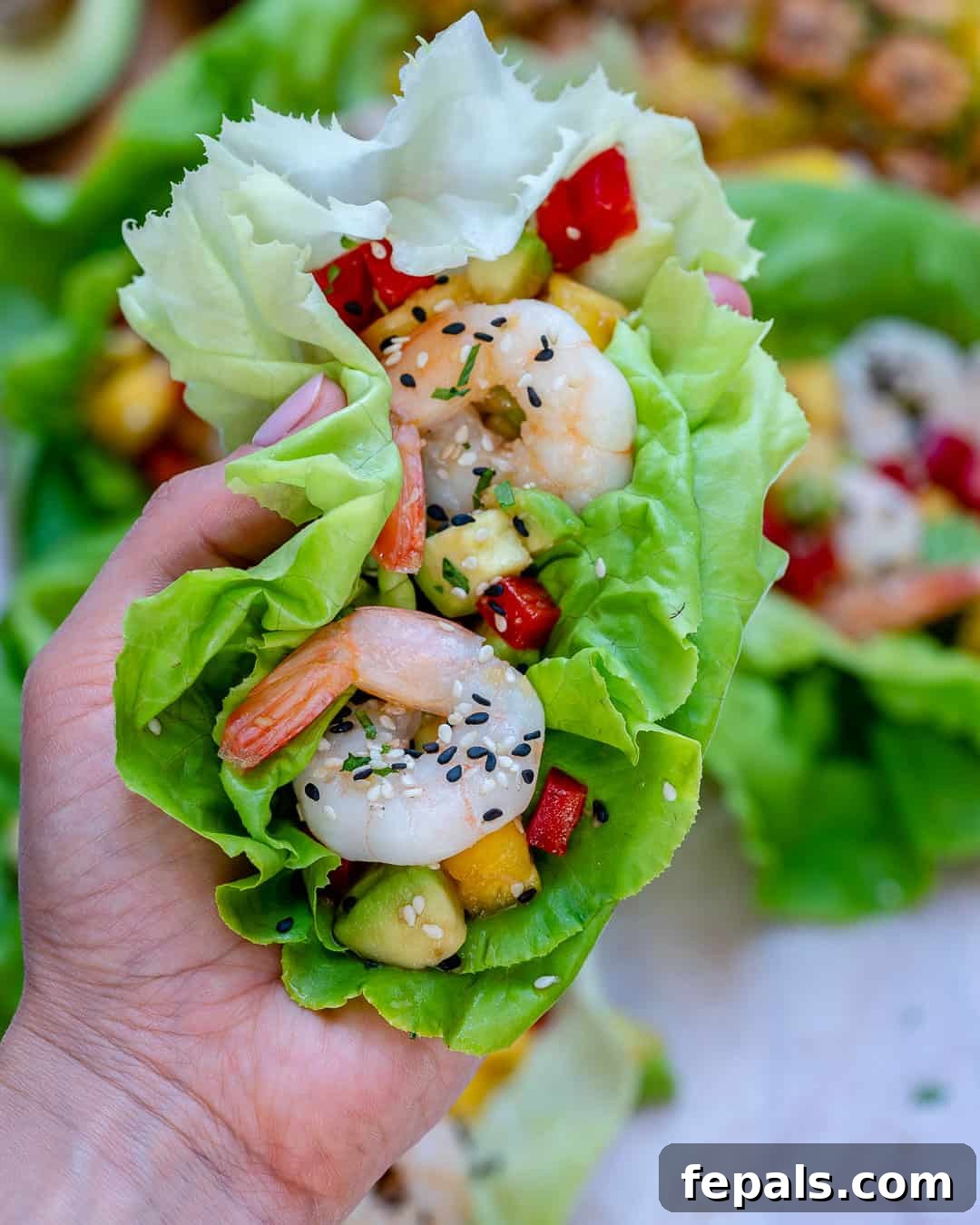 hand holding a lettuce wrap