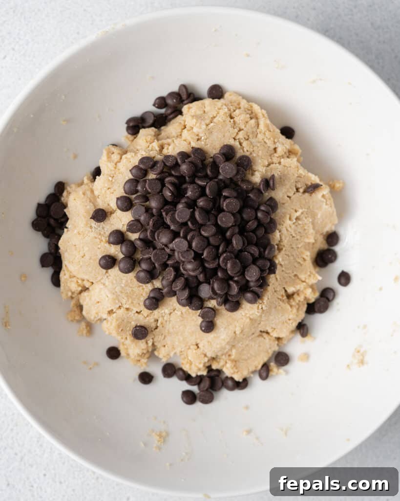 Wholesome Ready-to-Eat Cookie Dough 11 chocolate chips added with cookie dough mix