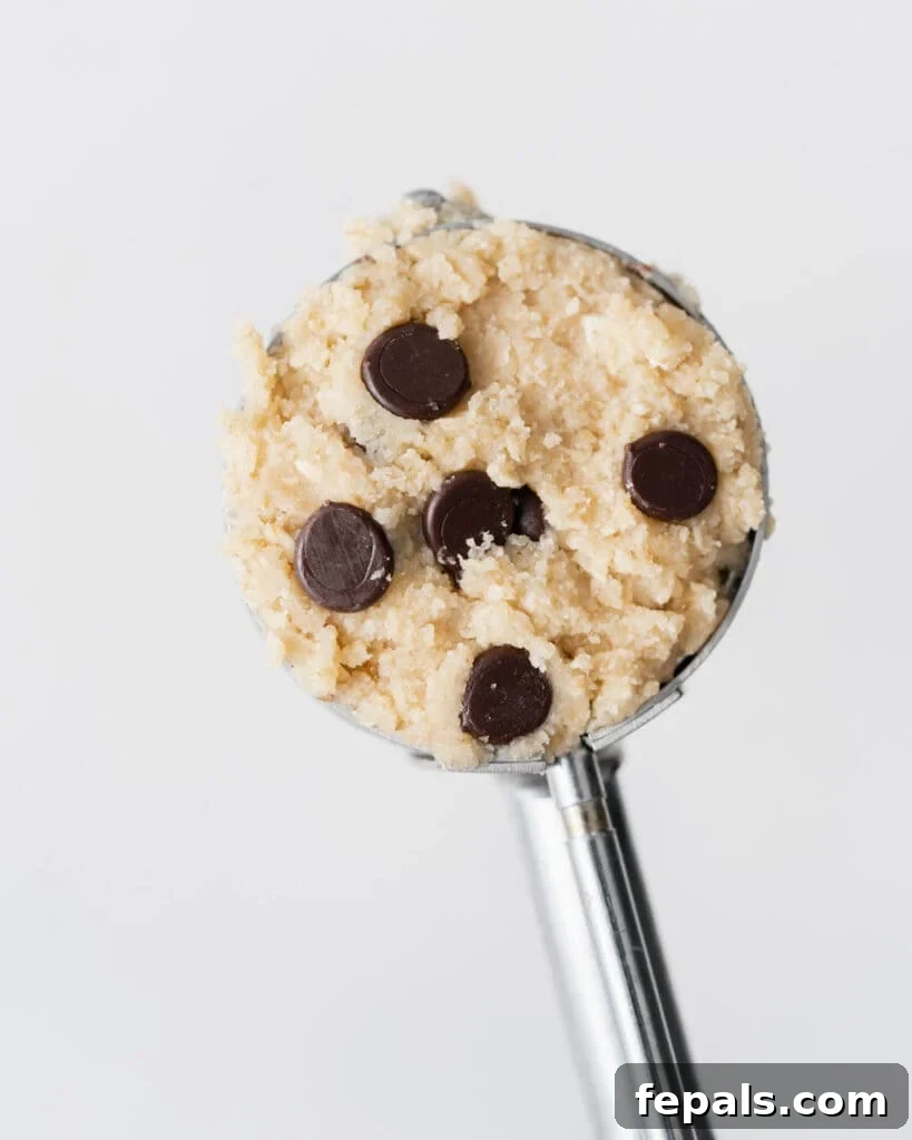 Wholesome Ready-to-Eat Cookie Dough 13 metal scooper scoop full of cookie dough