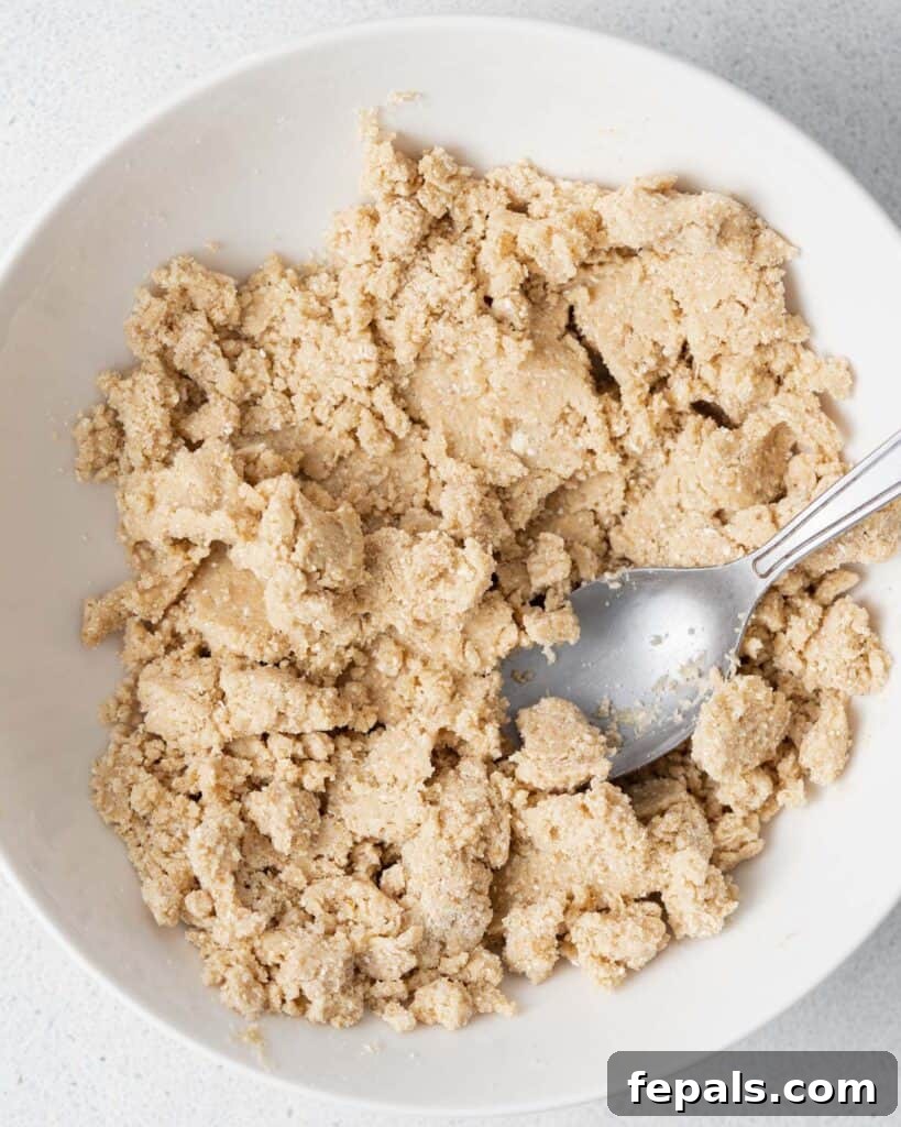 Wholesome Ready-to-Eat Cookie Dough 10 dough mixed together in a bowl with spoon in the bowl