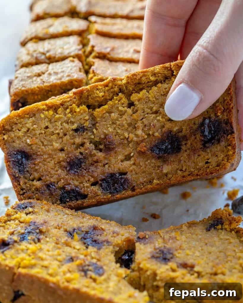 Heavenly Pumpkin Chocolate Chip Loaf 4 Hand grabbing a slice of warm Pumpkin Bread