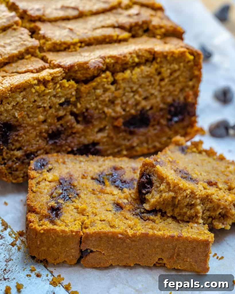 Heavenly Pumpkin Chocolate Chip Loaf 6 Side shot of a single Chocolate Chip Pumpkin Bread slice