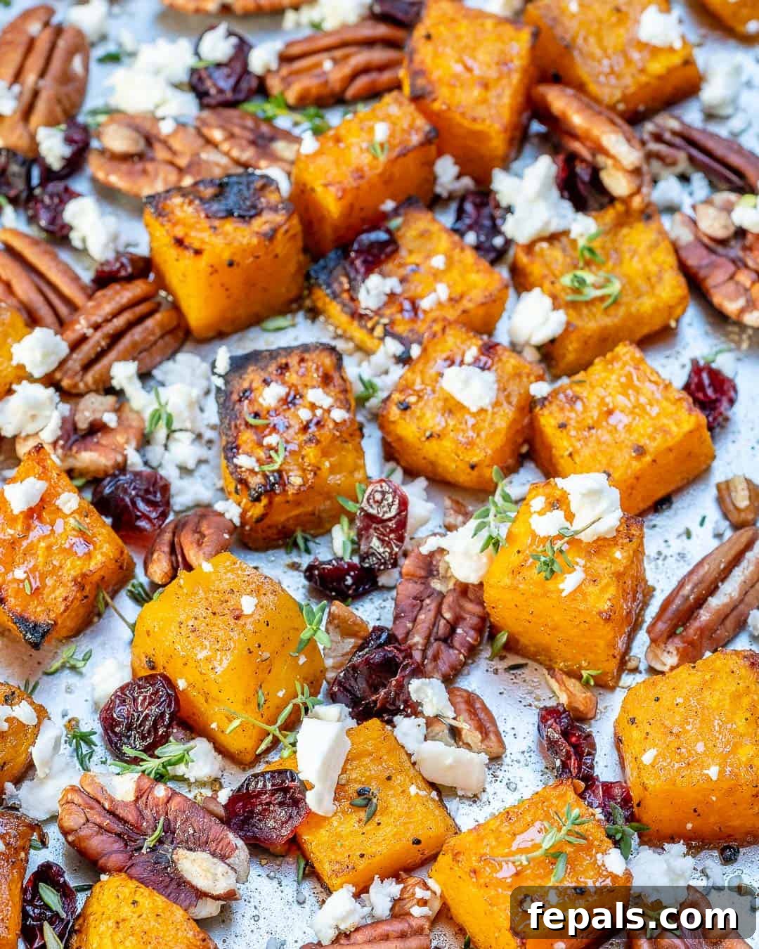 Caramelized Honey Butternut Delight 3 squash with cranberry, feta cheese and pecan