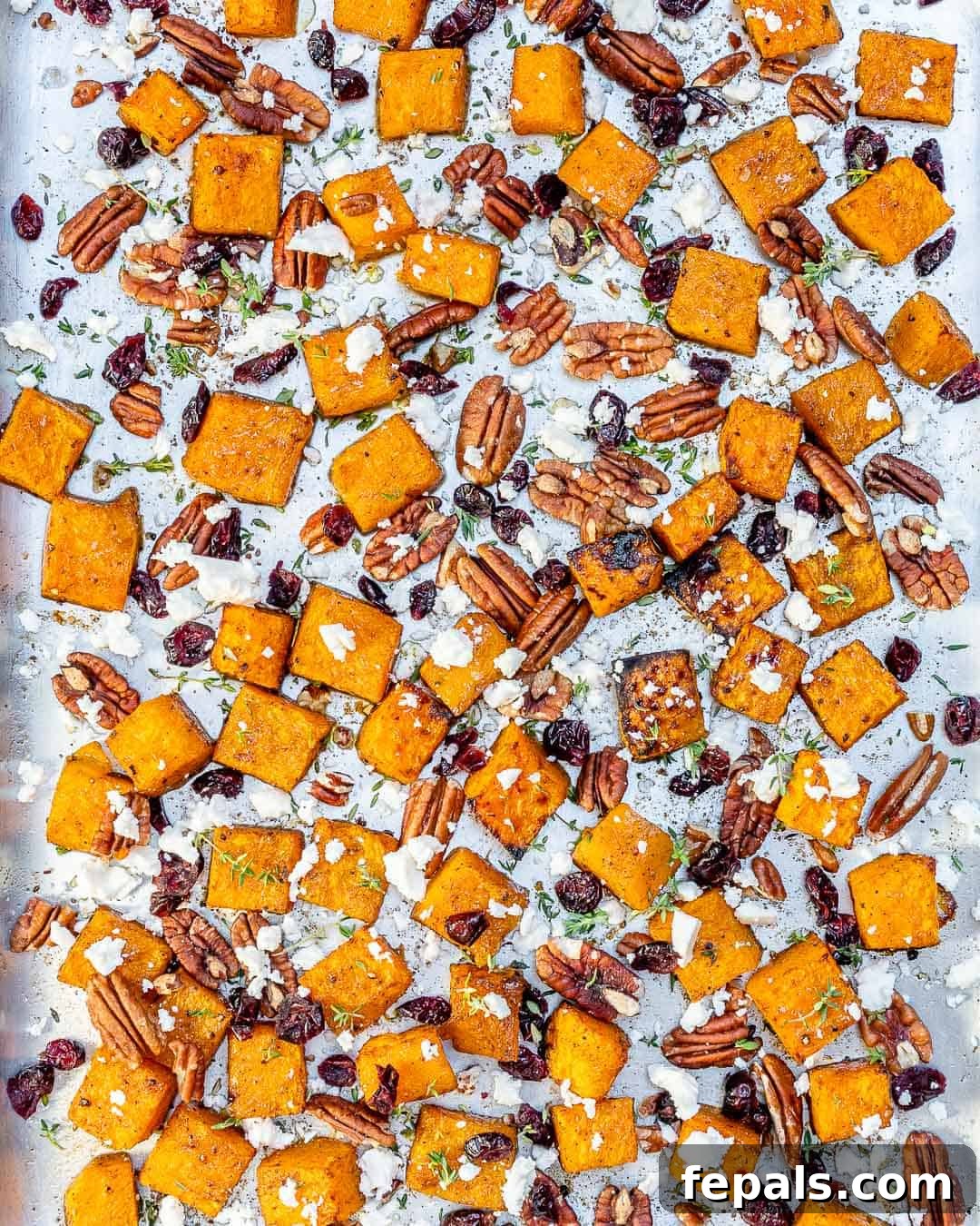 Caramelized Honey Butternut Delight 7 roasted squash with cranberry, feta cheese and pecan