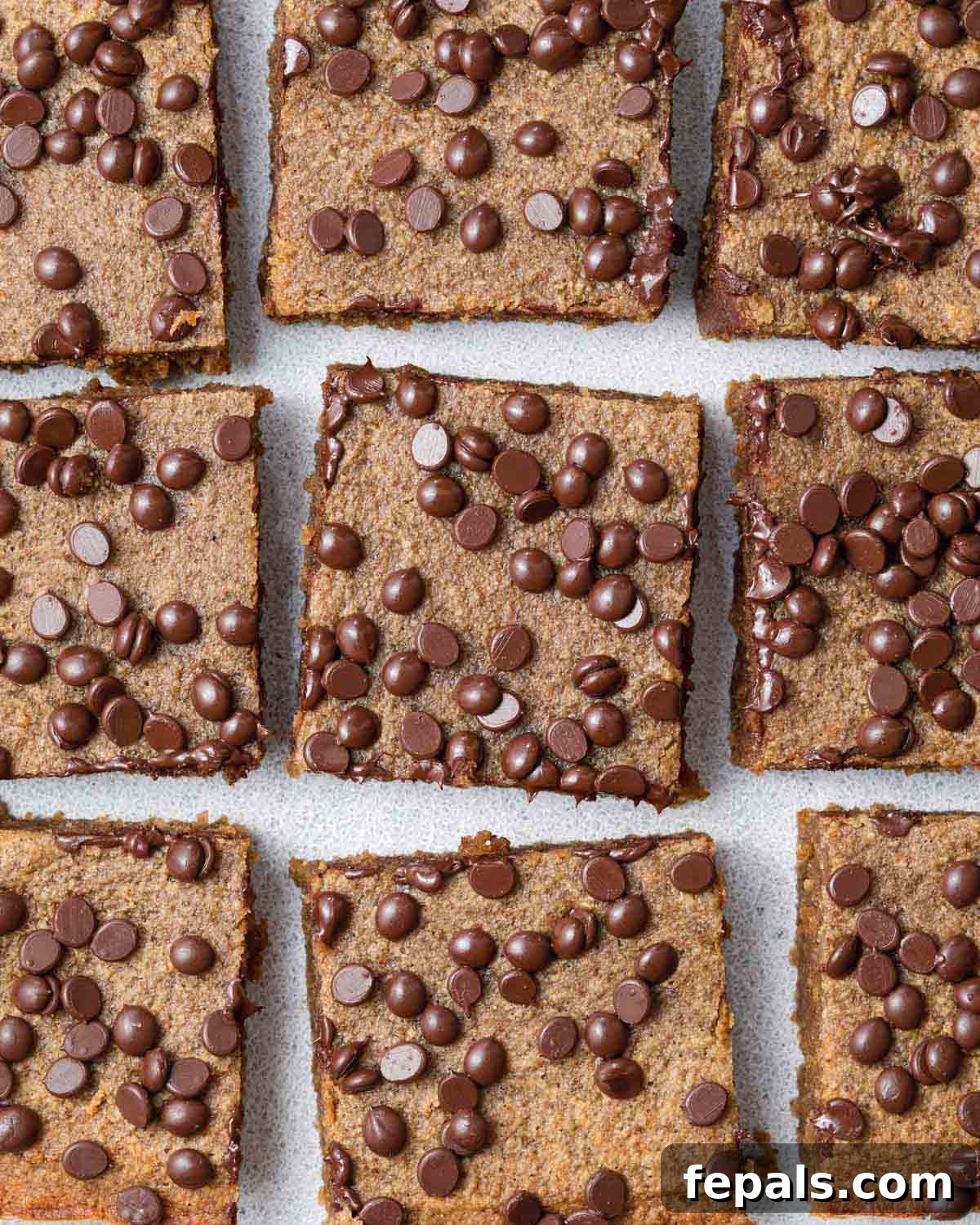 Moist Paleo Chocolate Chip Pumpkin Bars cut into perfect squares, topped with melted dark chocolate chips.