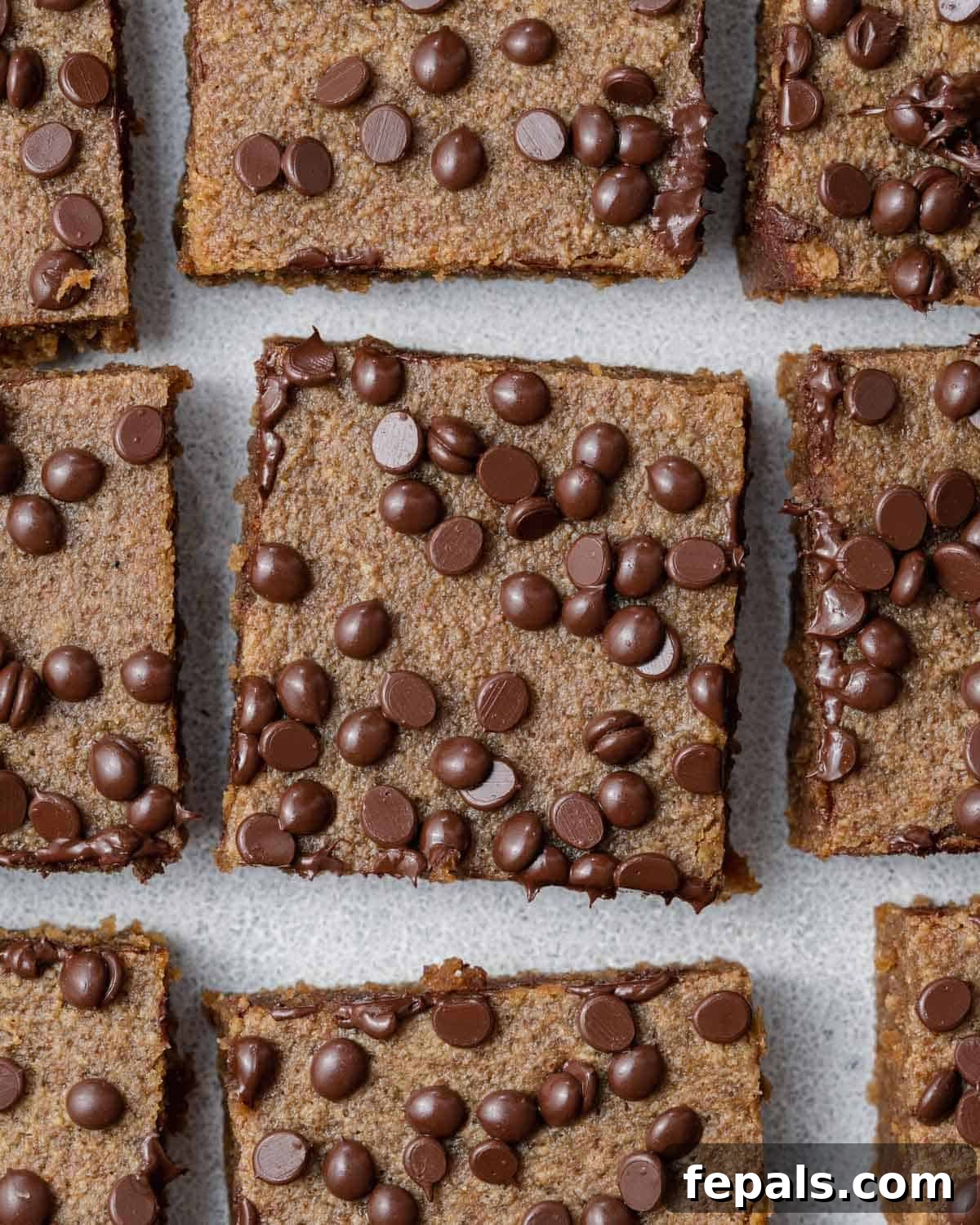 A batch of freshly baked paleo pumpkin bars, neatly cut into squares and adorned with dark chocolate chips.