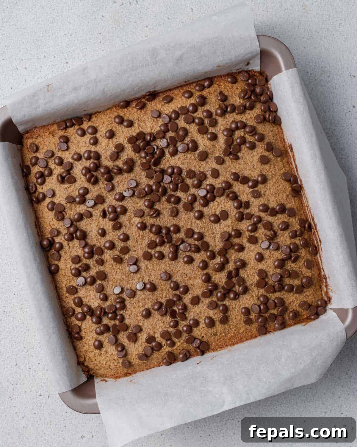 Golden-brown pumpkin bars, freshly baked in a pan and ready for cooling before slicing.