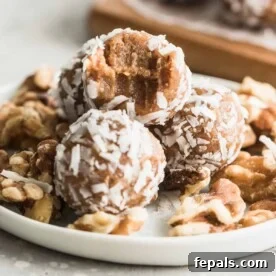 Paleo Walnut Energy Bites